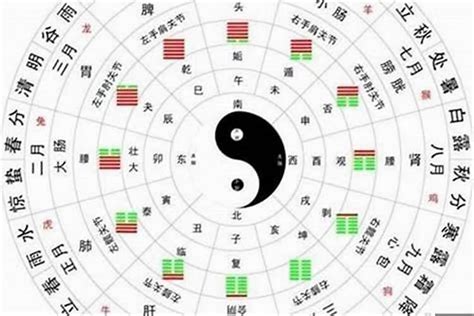 傷官星|八字格局解析——傷官格